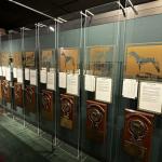 2023OTRA_447 (May 04, 2023)